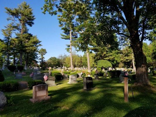 Pine Grove Cemetery