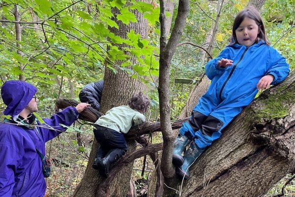 Climbing trees in the rain