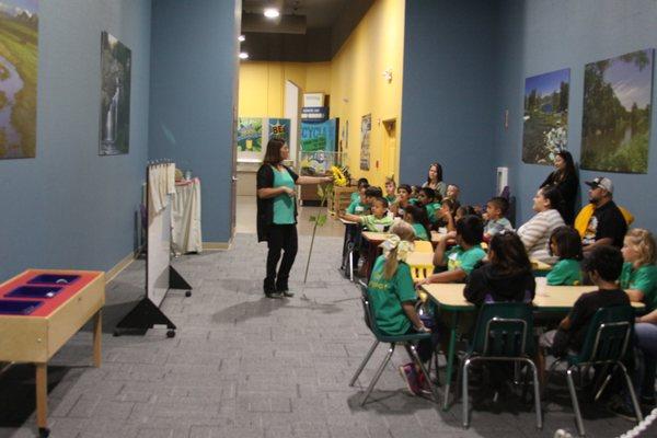 Let's Learn about the Life Cycle of a Sunflower during a School Tour