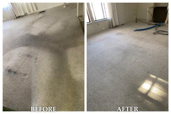 Move-In Carpet Restoration