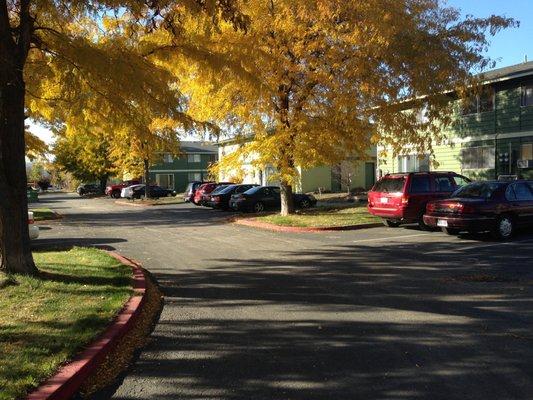 Aspen Circle Apartments, Ellensburg, WA