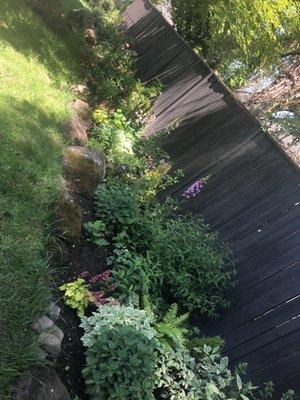 Flowerbed that has the 6 cypress trees in it.