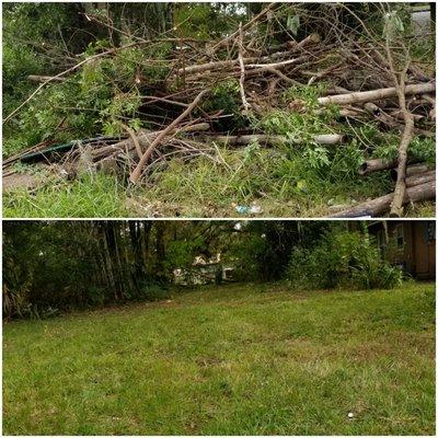 commercial debris removal