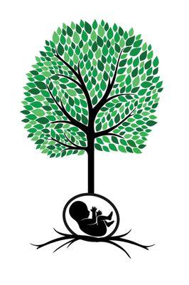 Birthroot Doula Services