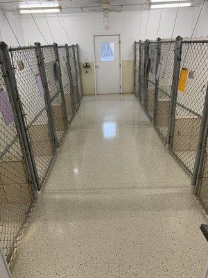 New professionally installed epoxy floor in the main kennel.