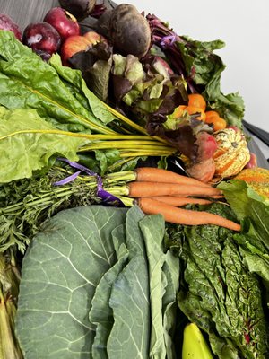 Fresh veggies this morning at wgg market!