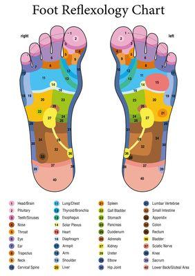 Reflexology