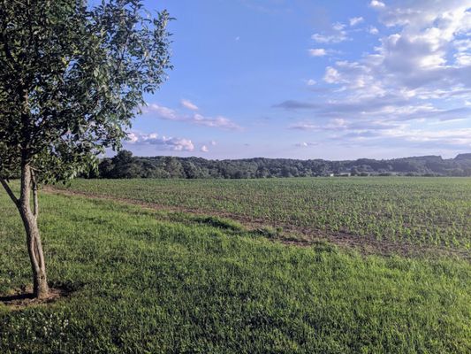 One of the many beautiful views from the upper loop near sunset.