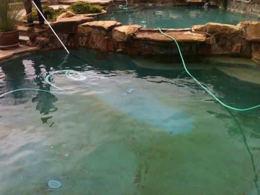 This pool needed help. Algae blooms and staining everywhere, yuck!