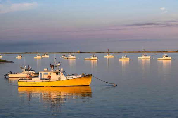 Fishing vessel "Yellowbird" and friends in Chatham Harbor, Chatham, MA