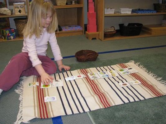 Child working with the opposite cards part of the Language area.