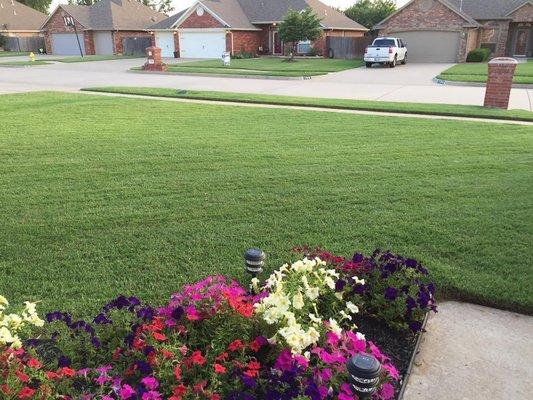 What a wonderful view. Beautiful flowers and plush green grass. Go BareFoot Turf!