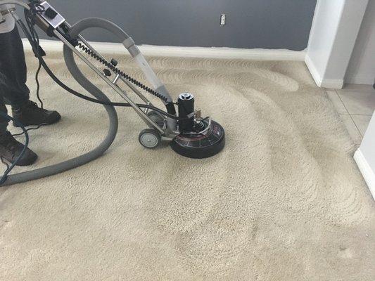 STEAM CARPET CLEANING