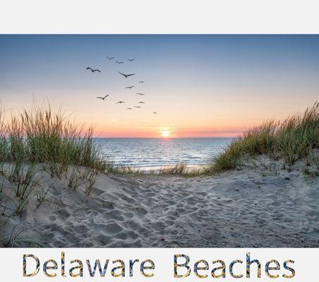 The Delaware Beaches