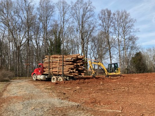 Payne's Stump & Tree Removal