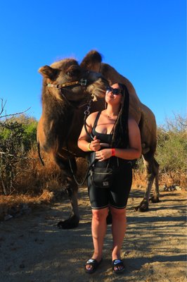 Cabo with camels