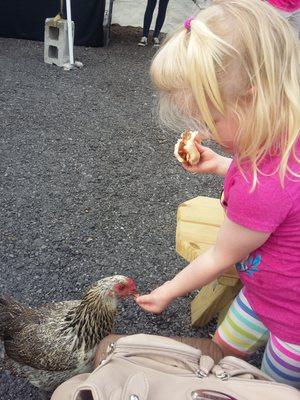 BBQ burger in one hand ($2 !!!!)  and happily feeding chickens with the other!