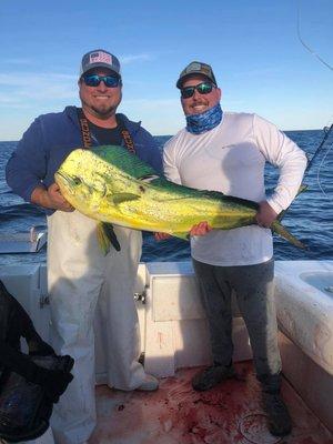 Bull Mahi Mahi offshore!