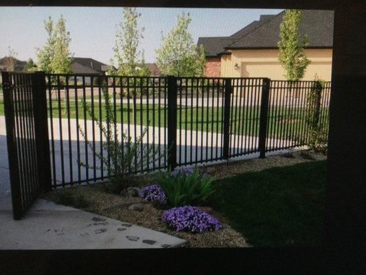 4ft iron fence