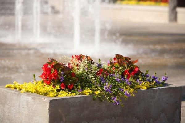 Cool fountain waters and warm summer colors greet our Nashville visitors