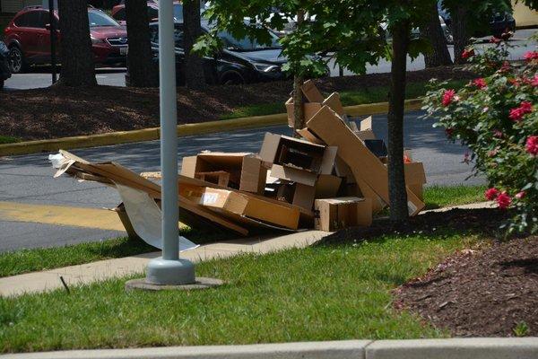 This is only part of the mess. Other, larger boxes were brought and dumped there this morning, after this photo was taken yesterday, June 2!