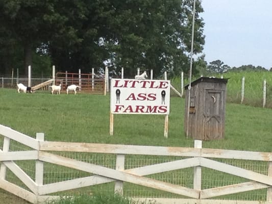 When you see the sign for Little Ass Farms on NC Hwy 16, you are nearing Crossroads Grill.