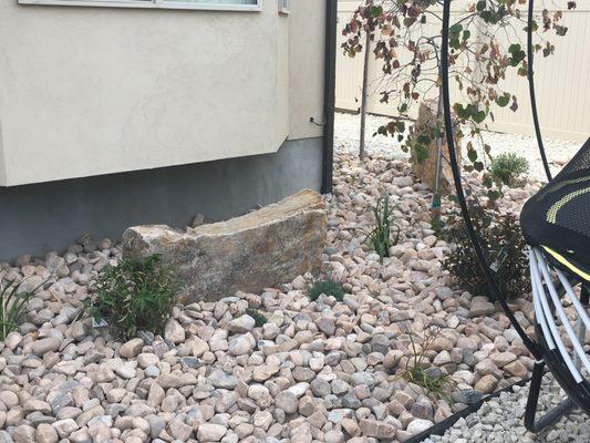 Xeriscape Salt Lake City