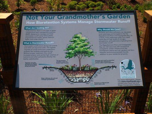 Not Your Grandmother's Garden......  information on the bioretention system being used.