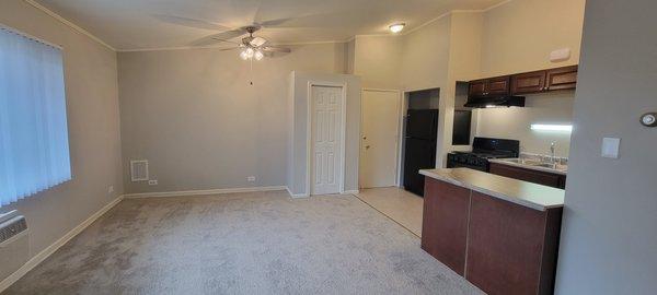 Newly renovated 2-bedroom unit with brand new appliances and cabinets