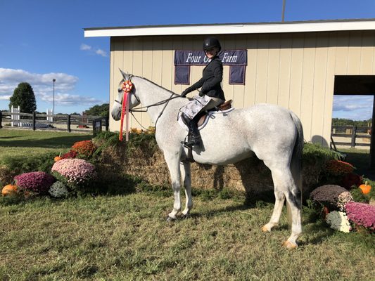 Horse Show