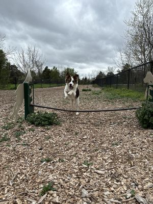 South Riding Dog Park