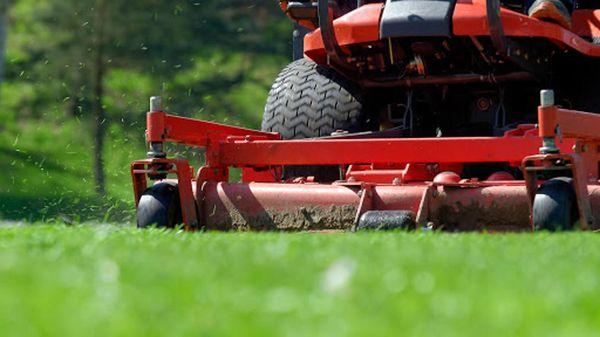 Belt Lawn and Landscape