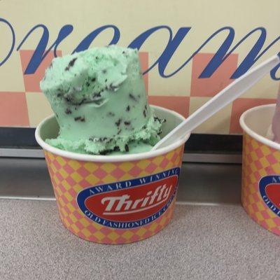 Mint chocolate chip 2 scoops $2.99