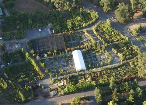 4-acre nursery in Sonora!