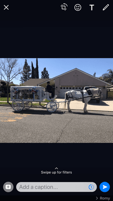 Horse Drawn Funeral Hearse