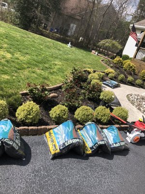 New boxwoods and cedar mulch going in!