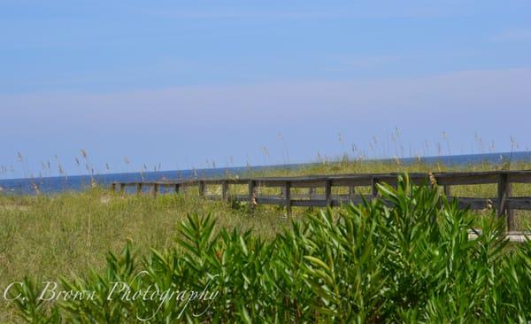 Carolina Beach