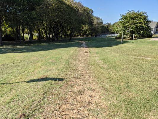 Walking at Ridgeview Park