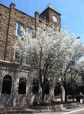 Outside of the building with trees in bloom.