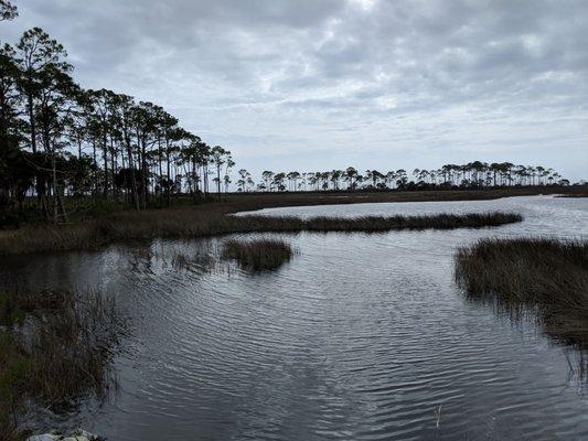 Lovely vistas of the Ochlockoknee River.