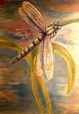 The dragonfly, in almost every part of the world symbolizes change and Healthy Change is what you get from Hypnosis!