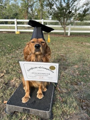 Proud Graduate of Y-Farms Obedience Academy