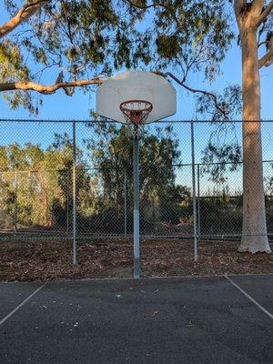 Basket at the end of the park