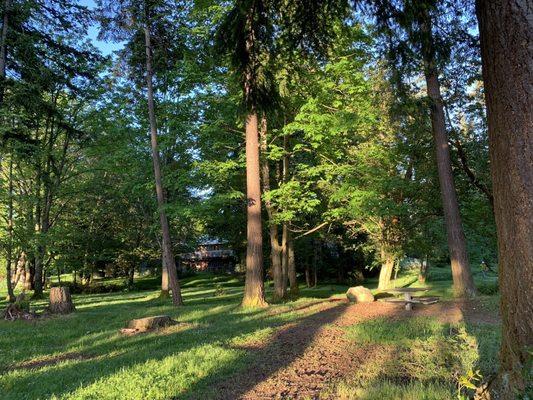 A grassy wooded area to explore.