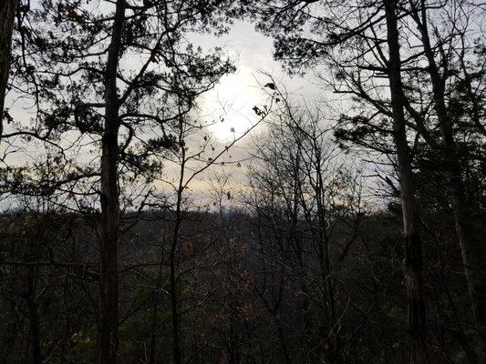 View of walking trail, in my favorite park down the street from my house.