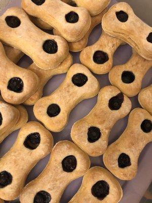 Blueberry biscuits