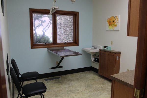 Our cat friendly exam room with calming window views.