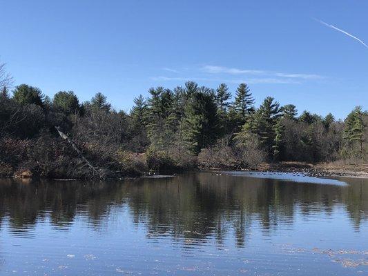 Beautiful peaceful place. Can you see the geese?