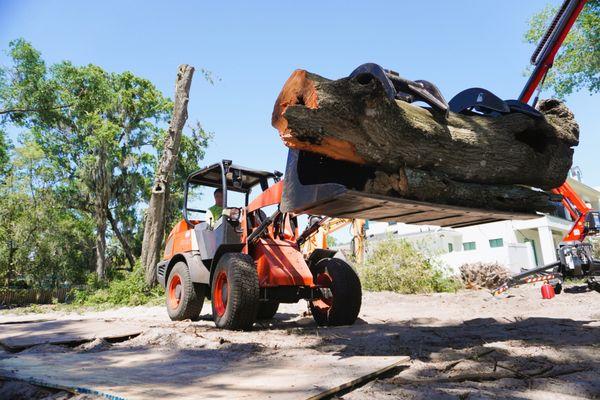 Operating heavy machinery on a job site, after a tree removal for a property clearing.