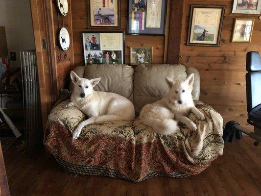 Bambi and Ice on their couch